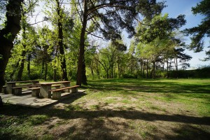 Camping-Sedunum-Camping-0013     